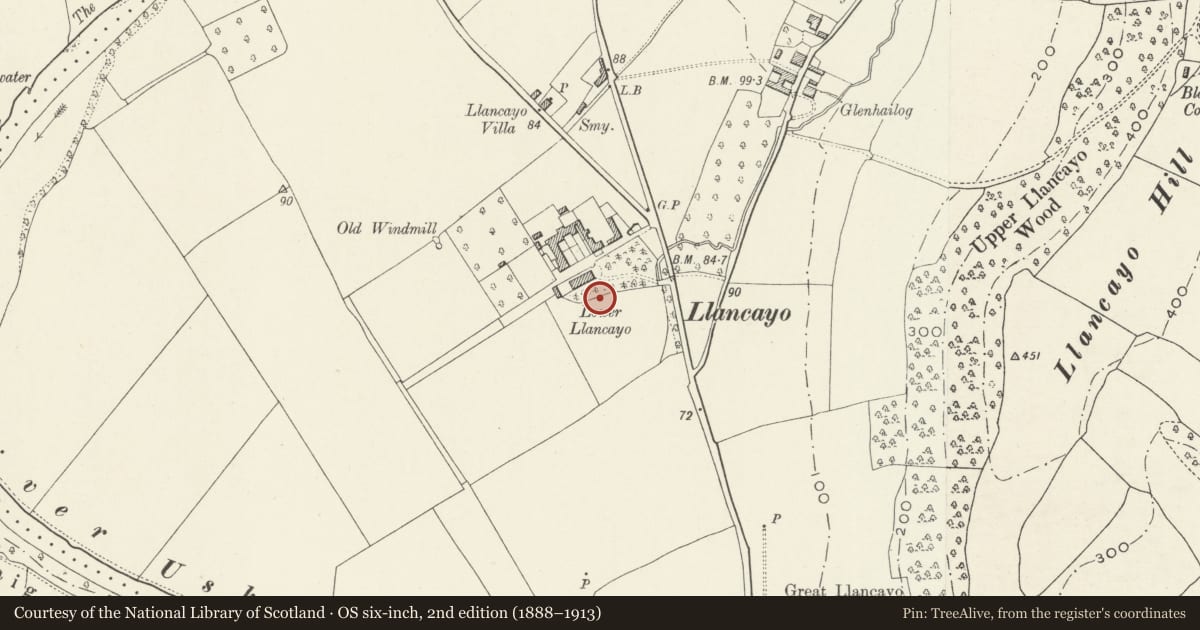 Ordnance Survey six-inch map, 2nd edition (1888–1913) covering the location of Railings and gates to S of Llancayo House, Llanarth, Monmouthshire, with a pin at the register's coordinates
