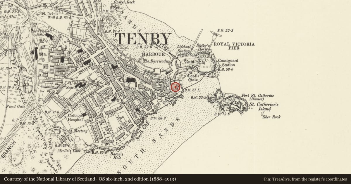 Ordnance Survey six-inch map, 2nd edition (1888–1913) covering the location of Forecourt wall and piers to Nos 1-5 Lexden Terrace and rails to No 6, Tenby, Pembrokeshire, with a pin at the register's coordinates