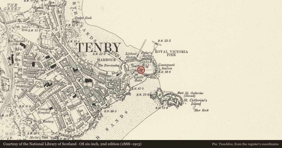 Ordnance Survey six-inch map, 2nd edition (1888–1913) covering the location of Tenby Museum, Pembrokeshire, with a pin at the register's coordinates