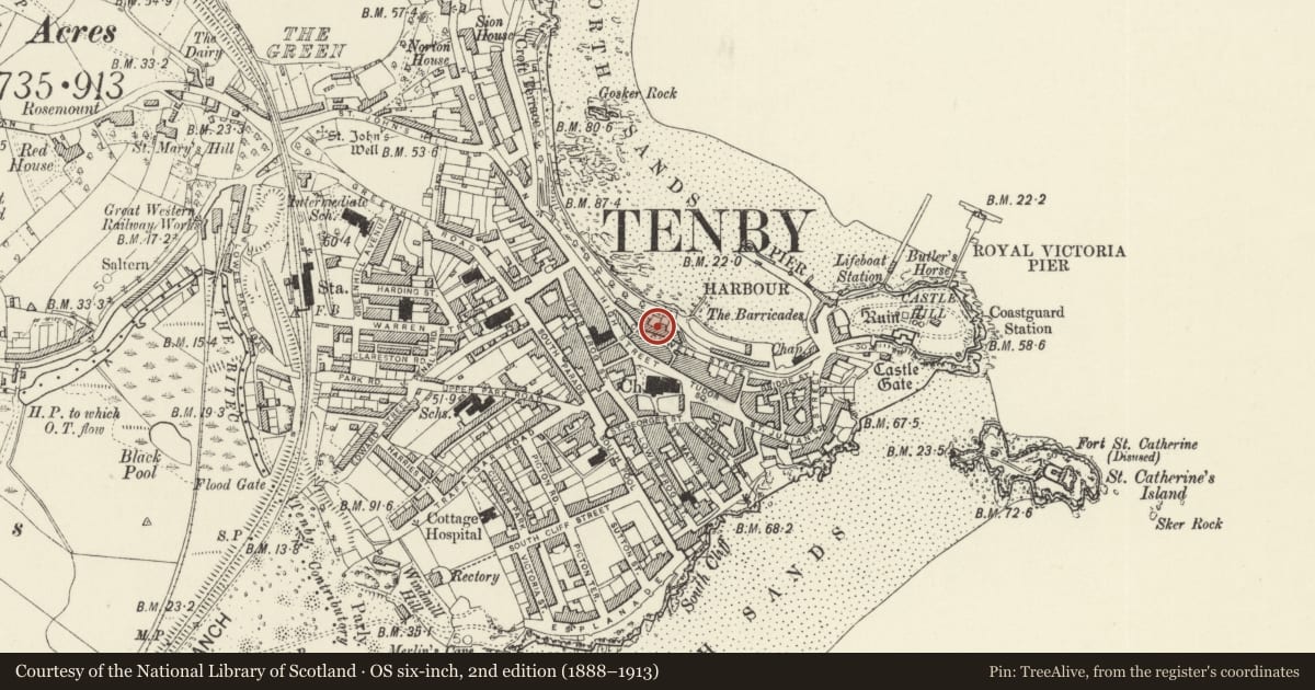 Ordnance Survey six-inch map, 2nd edition (1888–1913) covering the location of No 2 Bellevue Cottages (Shellback), Tenby, Pembrokeshire, with a pin at the register's coordinates