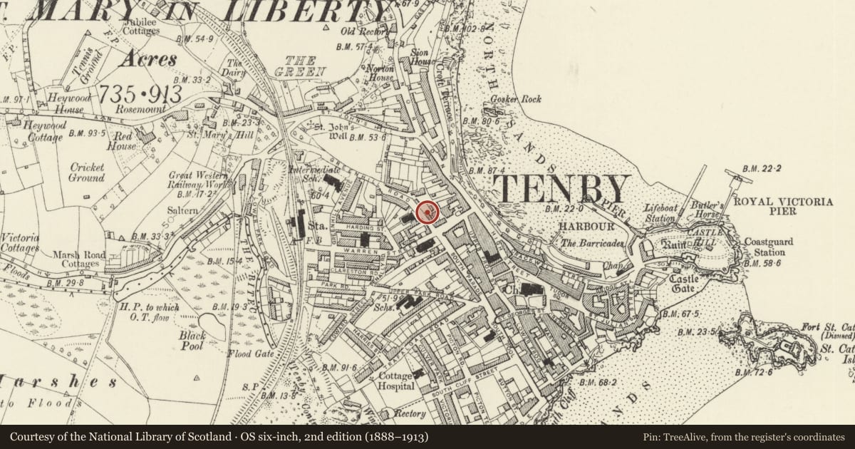 Ordnance Survey six-inch map, 2nd edition (1888–1913) covering the location of Clifton Rock and garden wall along roadside, Tenby, Pembrokeshire, with a pin at the register's coordinates