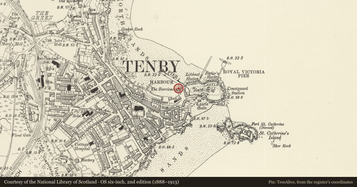 Ordnance Survey six-inch map, 2nd edition (1888–1913) covering the location of Retaining wall to Pier Hill and former lifeboat house, Tenby, Pembrokeshire, with a pin at the register's coordinates