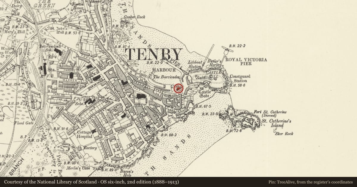 Ordnance Survey six-inch map, 2nd edition (1888–1913) covering the location of Church of St Julian, Tenby, Pembrokeshire, with a pin at the register's coordinates