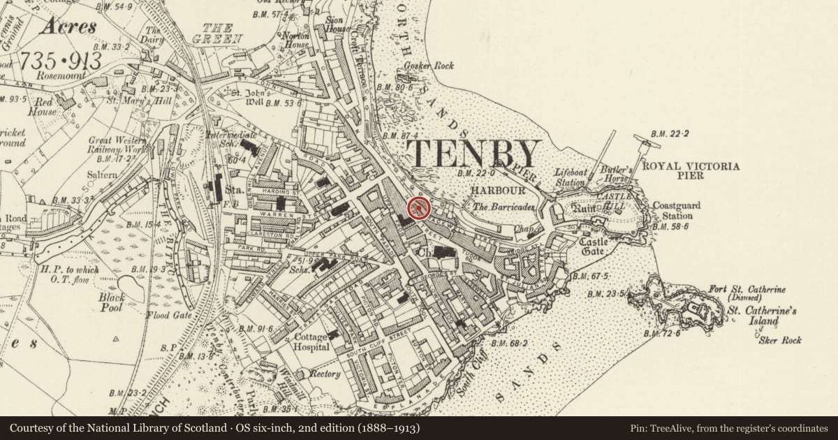 Ordnance Survey six-inch map, 2nd edition (1888–1913) covering the location of Wellington House, Tenby, Pembrokeshire, with a pin at the register's coordinates