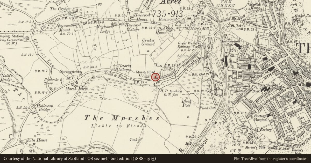Ordnance Survey six-inch map, 2nd edition (1888–1913) covering the location of No 1 Marsh Road Cottages (Casa Vecchia), Tenby, Pembrokeshire, with a pin at the register's coordinates
