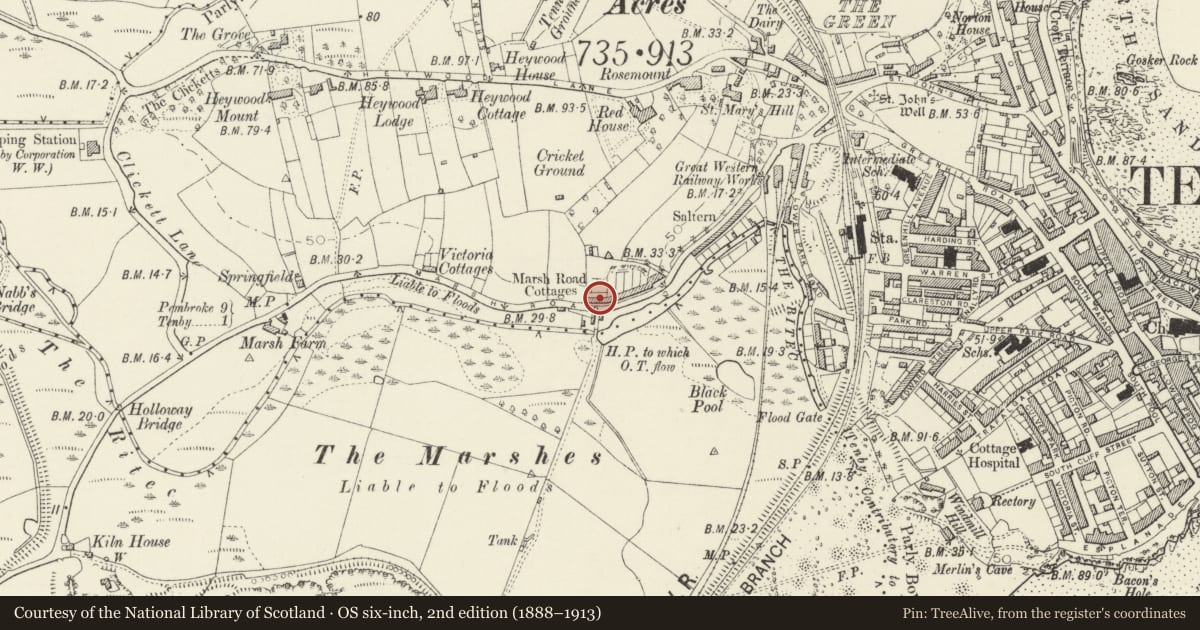 Ordnance Survey six-inch map, 2nd edition (1888–1913) covering the location of No 3 Marsh Road Cottages (Watermans Cottage), Tenby, Pembrokeshire, with a pin at the register's coordinates
