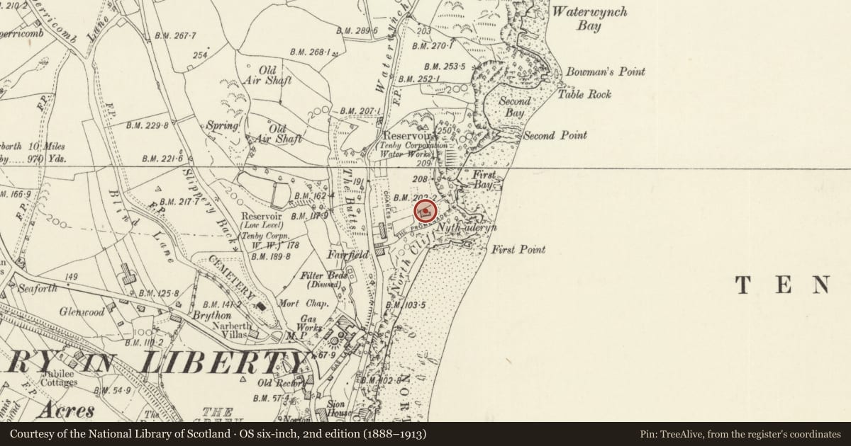 Ordnance Survey six-inch map, 2nd edition (1888–1913) covering the location of Nyth Aderyn, Tenby, Pembrokeshire, with a pin at the register's coordinates