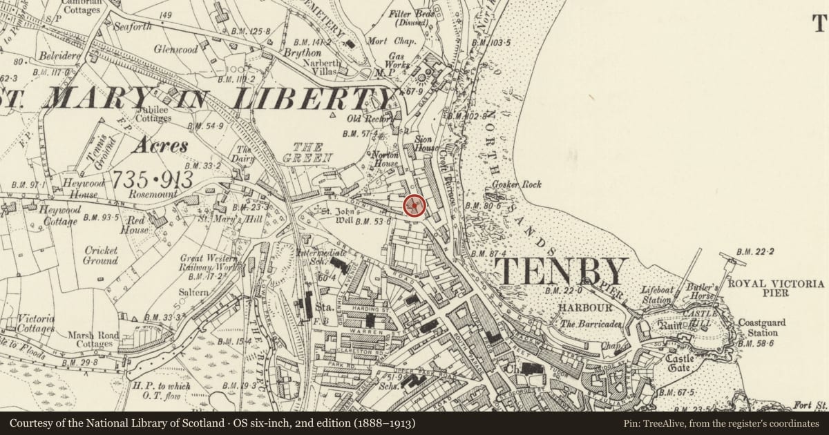 Ordnance Survey six-inch map, 2nd edition (1888–1913) covering the location of 24 The Norton, Tenby, Pembrokeshire, with a pin at the register's coordinates