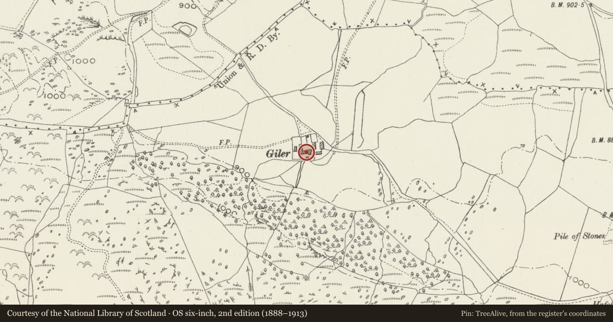 Ordnance Survey six-inch map, 2nd edition (1888–1913) covering the location of Gilar, Pentrefoelas, Conwy, with a pin at the register's coordinates