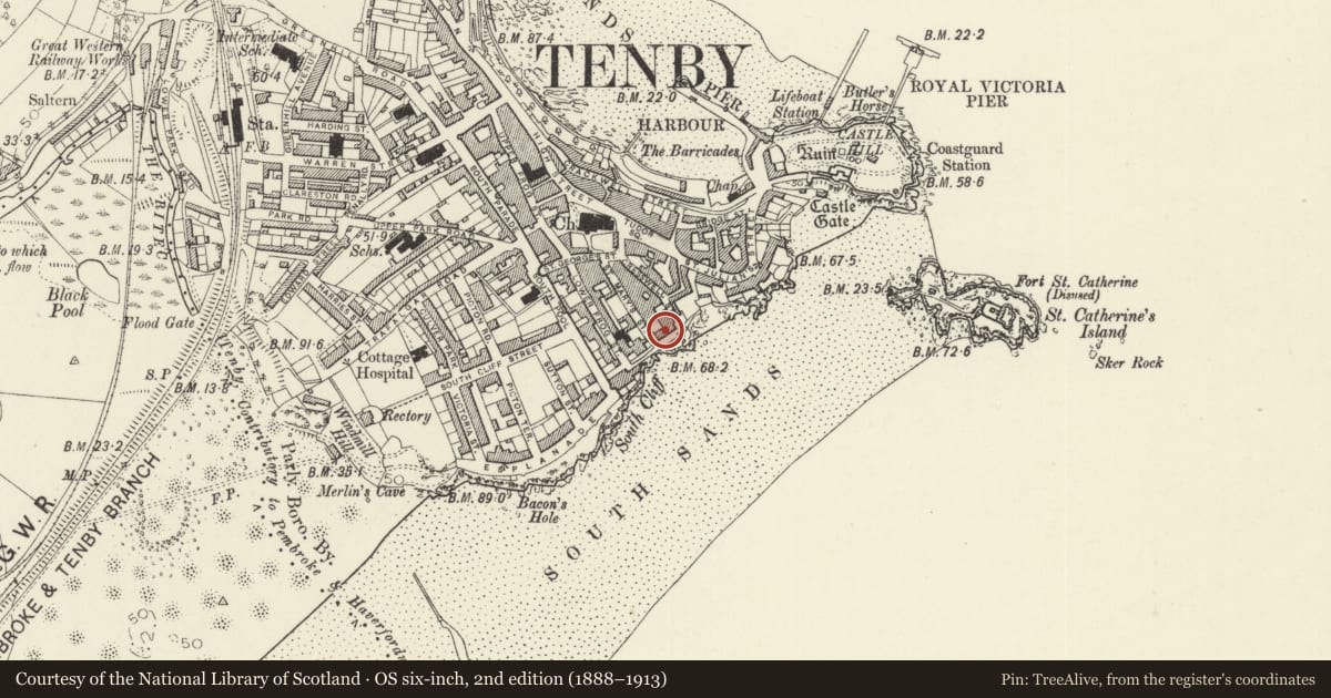 Ordnance Survey six-inch map, 2nd edition (1888–1913) covering the location of Swn y Don, Tenby, Pembrokeshire, with a pin at the register's coordinates