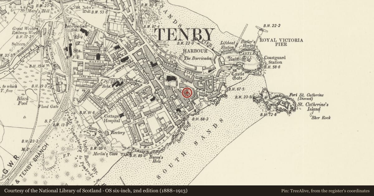 Ordnance Survey six-inch map, 2nd edition (1888–1913) covering the location of Rest-Harrow, Tenby, Pembrokeshire, with a pin at the register's coordinates