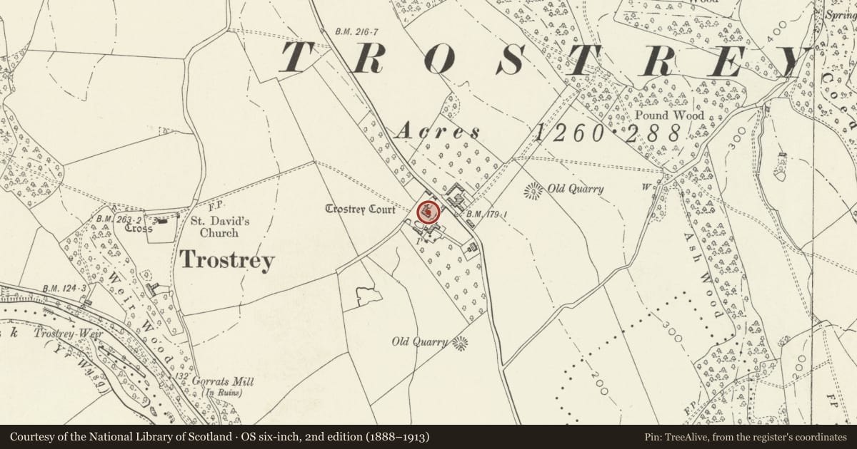 Ordnance Survey six-inch map, 2nd edition (1888–1913) covering the location of Outbuilding N of Trostrey Court, Llanarth, Monmouthshire, with a pin at the register's coordinates