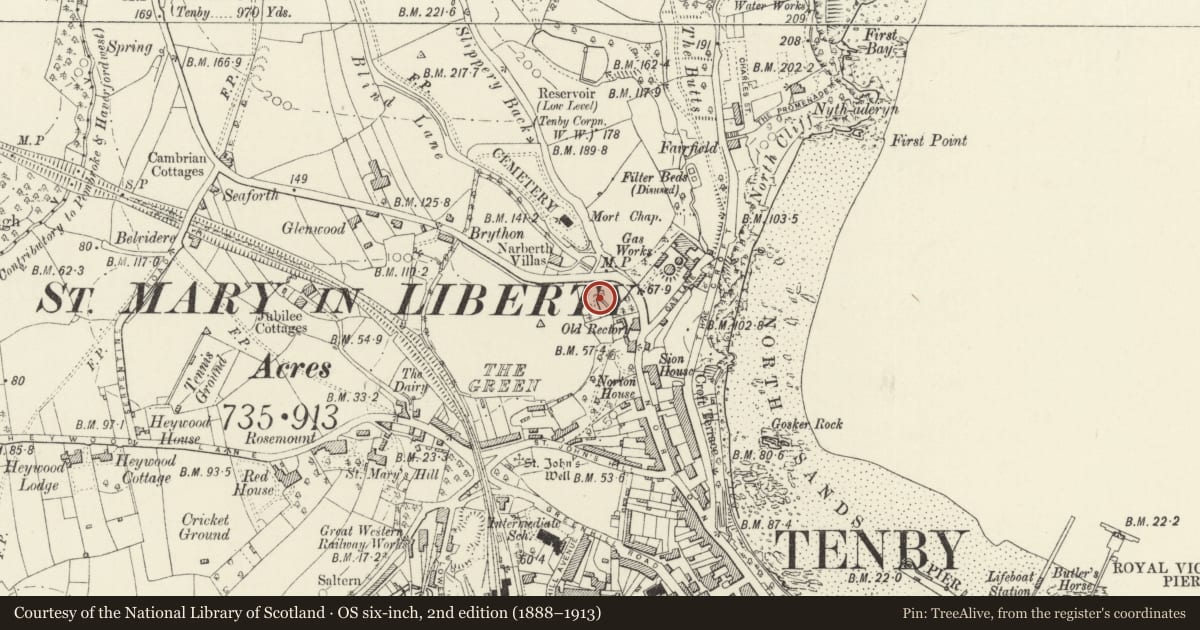 Ordnance Survey six-inch map, 2nd edition (1888–1913) covering the location of Former Tenby Market Cross and well-chamber, Pembrokeshire, with a pin at the register's coordinates