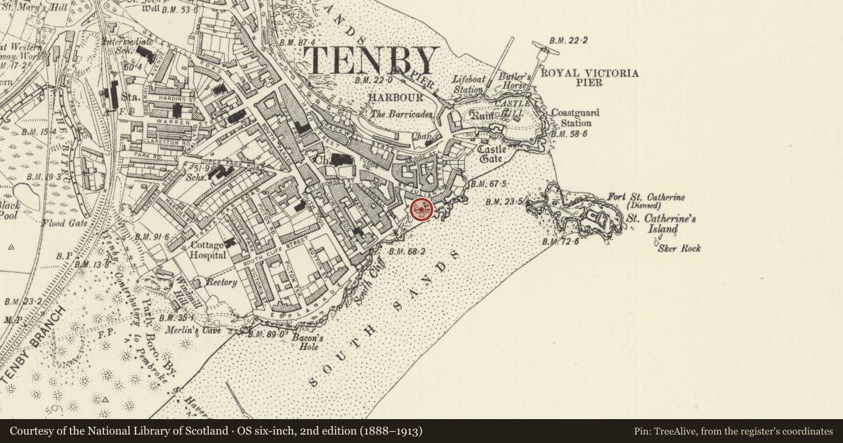 Ordnance Survey six-inch map, 2nd edition (1888–1913) covering the location of Breckmanchine Tower, Tenby, Pembrokeshire, with a pin at the register's coordinates