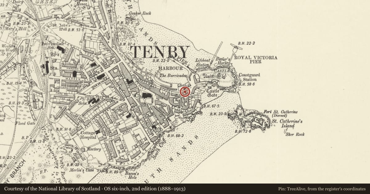 Ordnance Survey six-inch map, 2nd edition (1888–1913) covering the location of Retaining wall to Bridge Street, Tenby, Pembrokeshire, with a pin at the register's coordinates