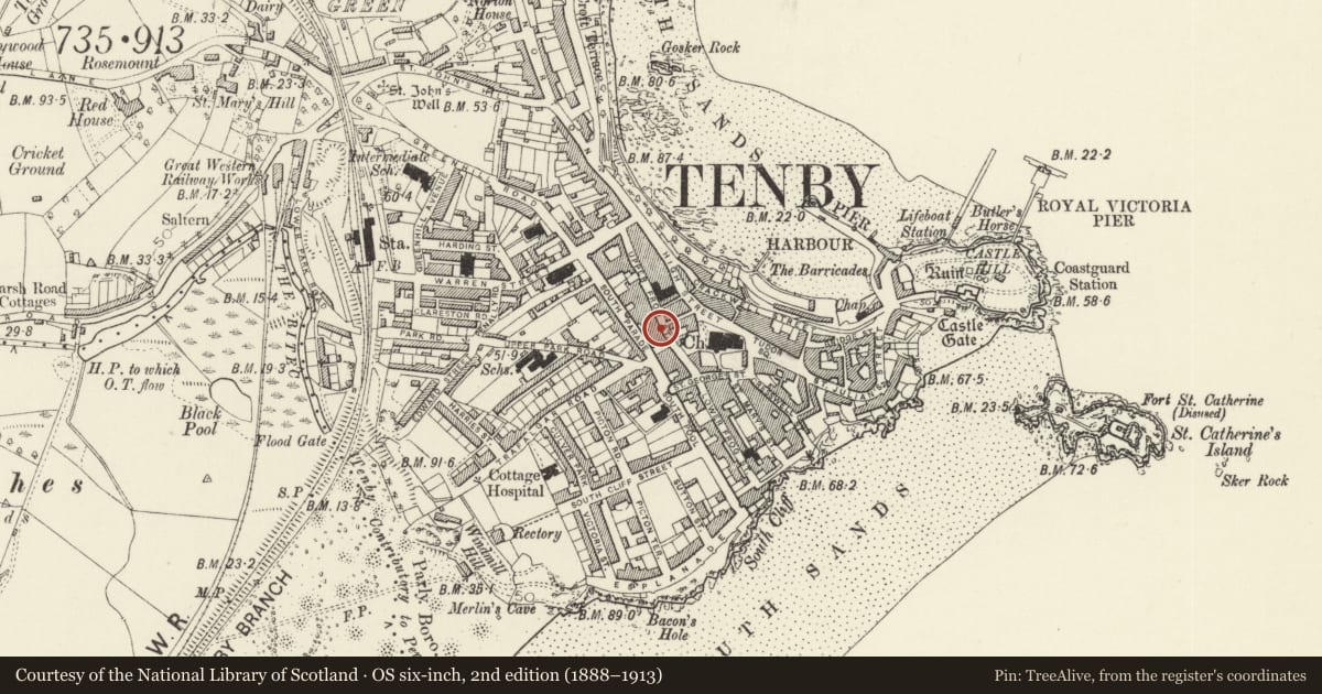 Ordnance Survey six-inch map, 2nd edition (1888–1913) covering the location of Premises occupied by La Cave Restaurant, Tenby, Pembrokeshire, with a pin at the register's coordinates