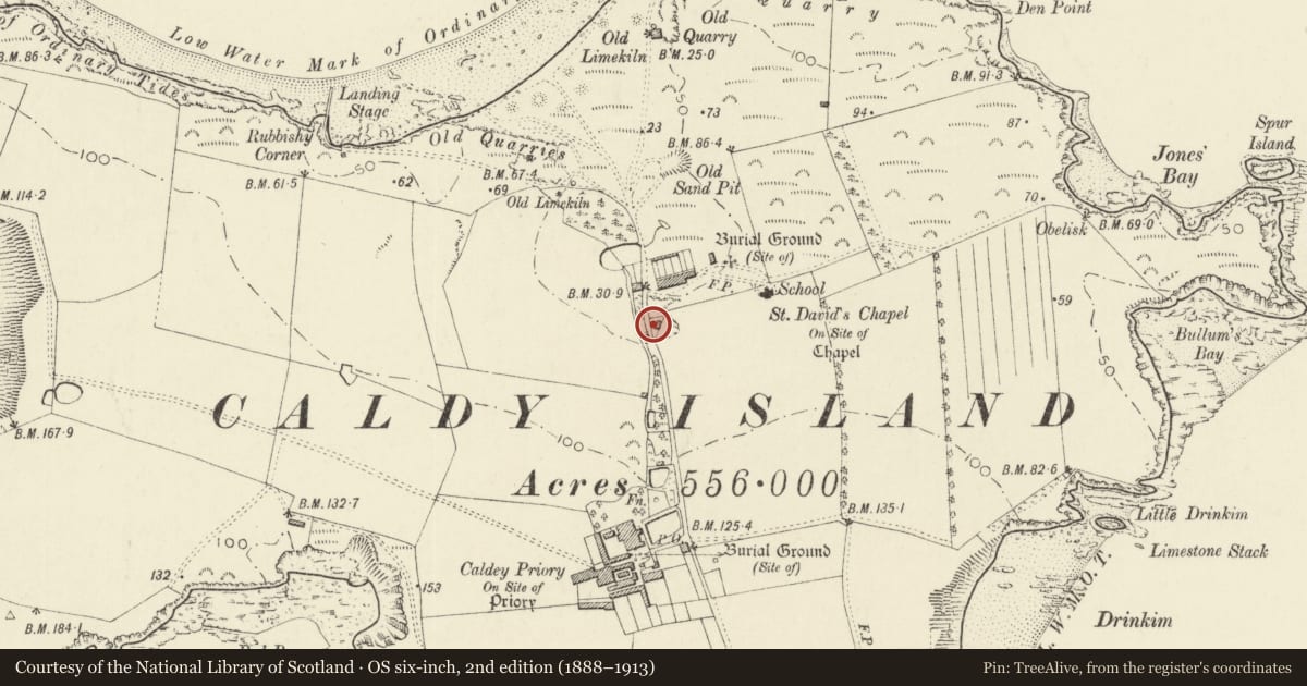 Ordnance Survey six-inch map, 2nd edition (1888–1913) covering the location of Wall and gate to garden W of the Abbey, Tenby, Pembrokeshire, with a pin at the register's coordinates
