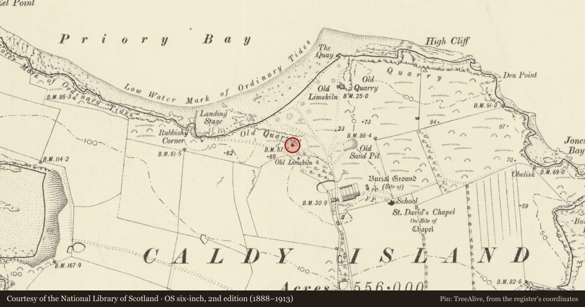 Ordnance Survey six-inch map, 2nd edition (1888–1913) covering the location of Saint Philomena's, Tenby, Pembrokeshire, with a pin at the register's coordinates
