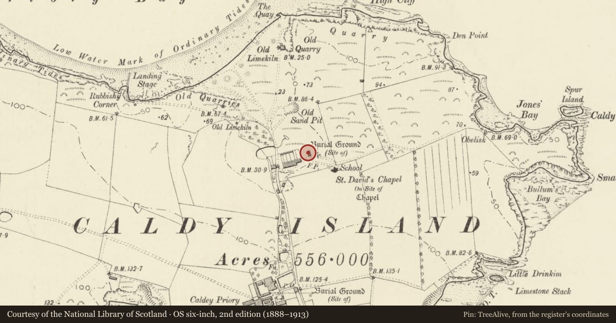 Ordnance Survey six-inch map, 2nd edition (1888–1913) covering the location of St Peter's and St Joseph's, Tenby, Pembrokeshire, with a pin at the register's coordinates