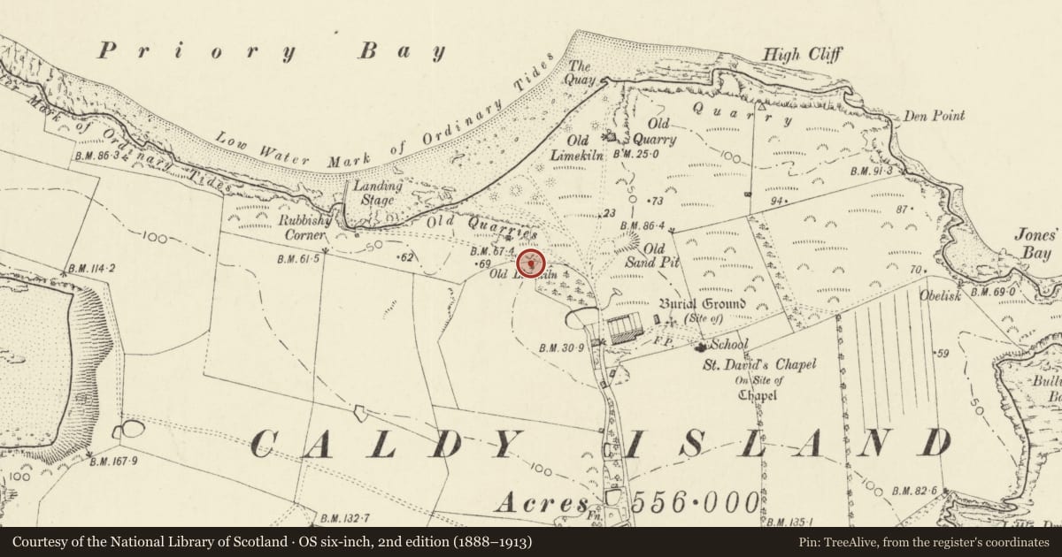 Ordnance Survey six-inch map, 2nd edition (1888–1913) covering the location of St Dominic's, Tenby, Pembrokeshire, with a pin at the register's coordinates