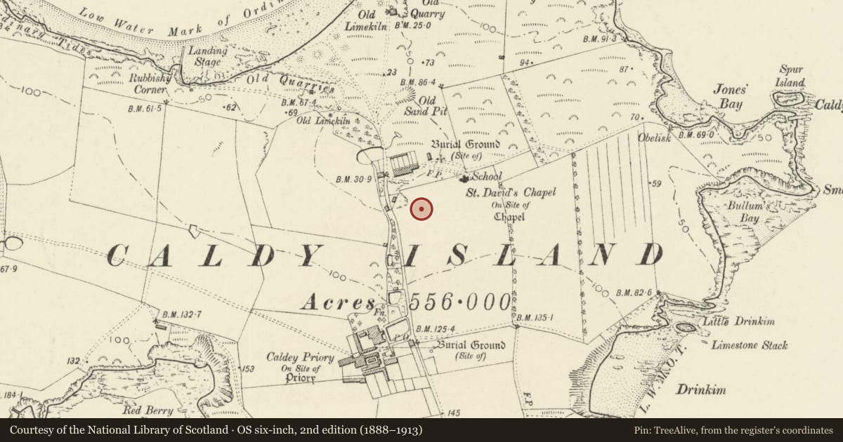 Ordnance Survey six-inch map, 2nd edition (1888–1913) covering the location of Sundial in garden of former abbot's house, Tenby, Pembrokeshire, with a pin at the register's coordinates