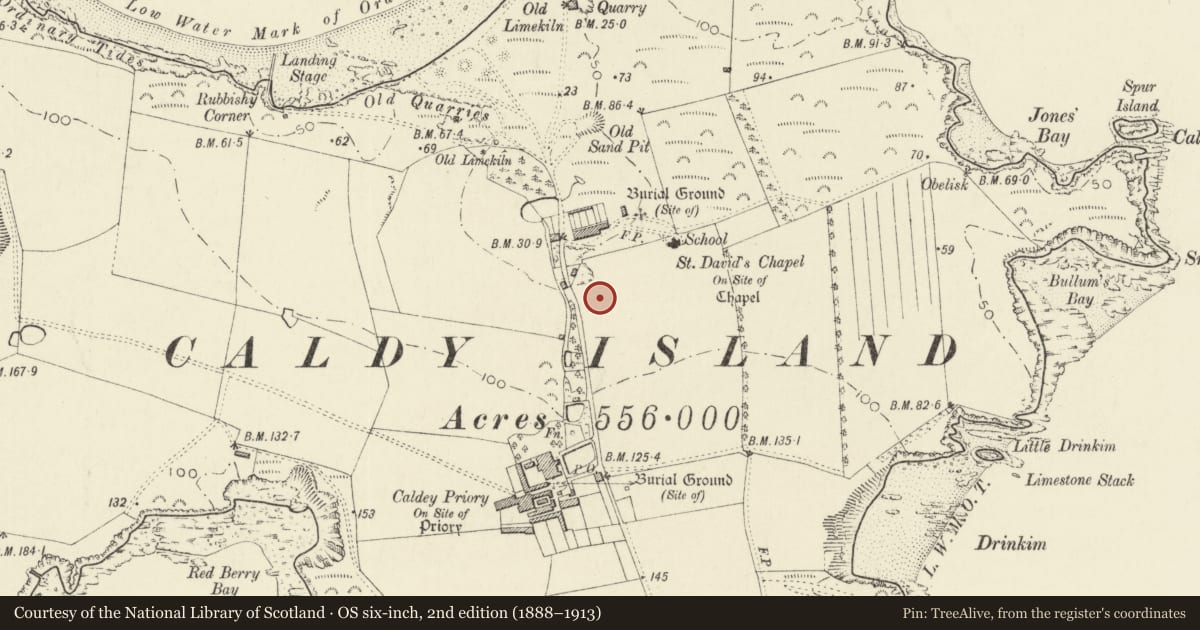 Ordnance Survey six-inch map, 2nd edition (1888–1913) covering the location of Birdbath in garden of former abbot's house, Tenby, Pembrokeshire, with a pin at the register's coordinates
