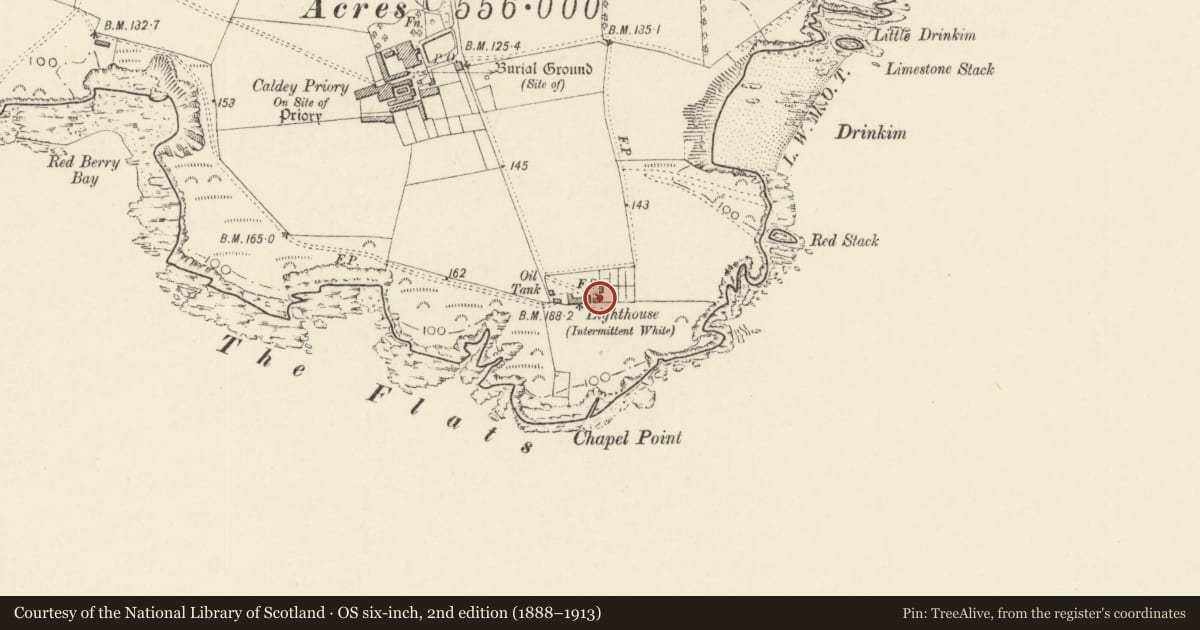 Ordnance Survey six-inch map, 2nd edition (1888–1913) covering the location of Outbuilding E of the lighthouse, Tenby, Pembrokeshire, with a pin at the register's coordinates