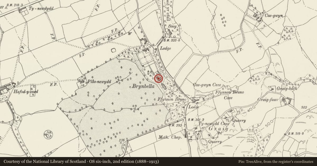 Ordnance Survey six-inch map, 2nd edition (1888–1913) covering the location of Brynbella Stables, Tremeirchion, Denbighshire, with a pin at the register's coordinates