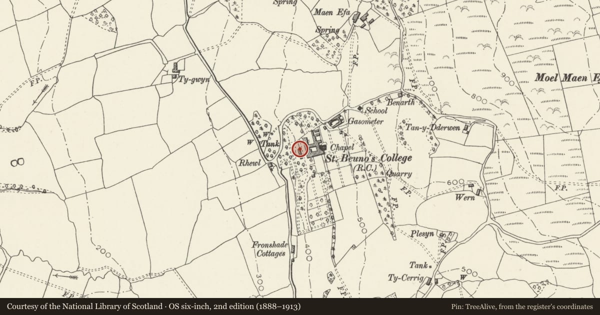 Ordnance Survey six-inch map, 2nd edition (1888–1913) covering the location of Terrace retaining wall parallel to west front of St Beuno's, Tremeirchion, Denbighshire, with a pin at the register's coordinates