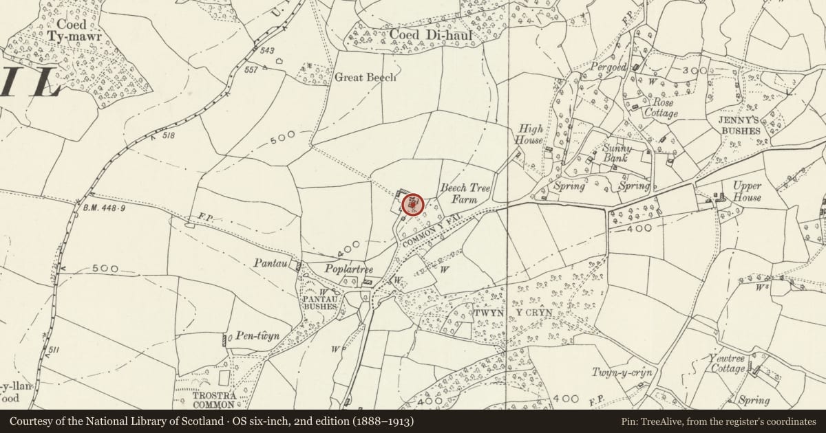 Ordnance Survey six-inch map, 2nd edition (1888–1913) covering the location of Beech Tree Farmhouse, Llanbadoc, Monmouthshire, with a pin at the register's coordinates