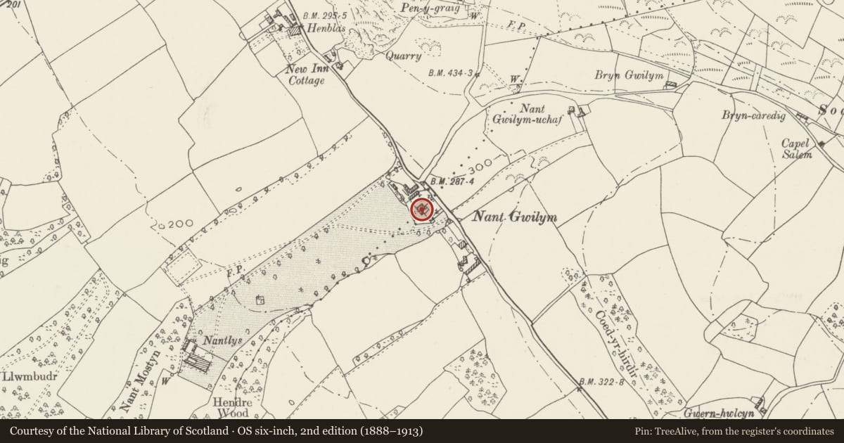 Ordnance Survey six-inch map, 2nd edition (1888–1913) covering the location of Plumgate (otherwise Delfryn), Tremeirchion, Denbighshire, with a pin at the register's coordinates
