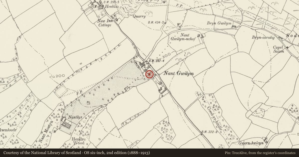Ordnance Survey six-inch map, 2nd edition (1888–1913) covering the location of Nantlys Lodge, Tremeirchion, Denbighshire, with a pin at the register's coordinates