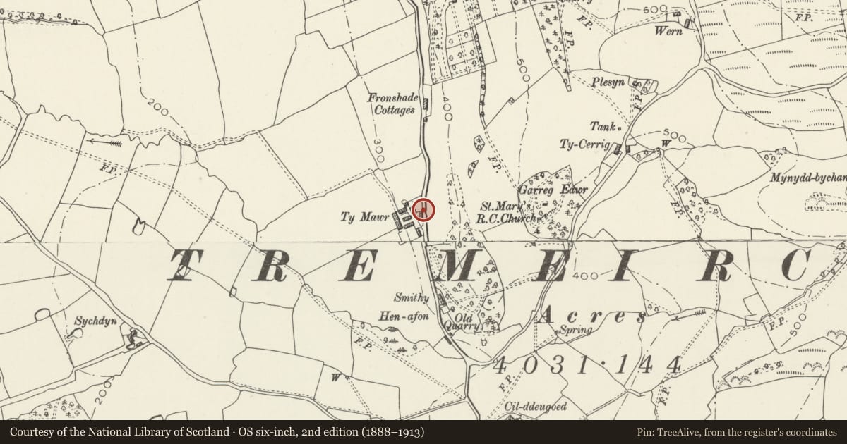 Ordnance Survey six-inch map, 2nd edition (1888–1913) covering the location of Ty-mawr Boundary Wall facing Tremeirchion Road, Denbighshire, with a pin at the register's coordinates
