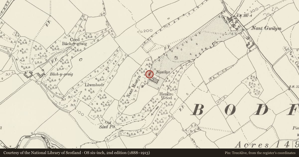 Ordnance Survey six-inch map, 2nd edition (1888–1913) covering the location of Nantlys Stable Range, Tremeirchion, Denbighshire, with a pin at the register's coordinates