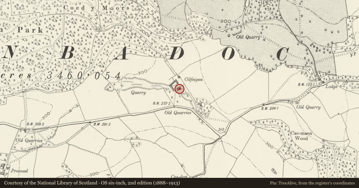 Ordnance Survey six-inch map, 2nd edition (1888–1913) covering the location of Cilfeigan Farmhouse, Llanbadoc, Monmouthshire, with a pin at the register's coordinates