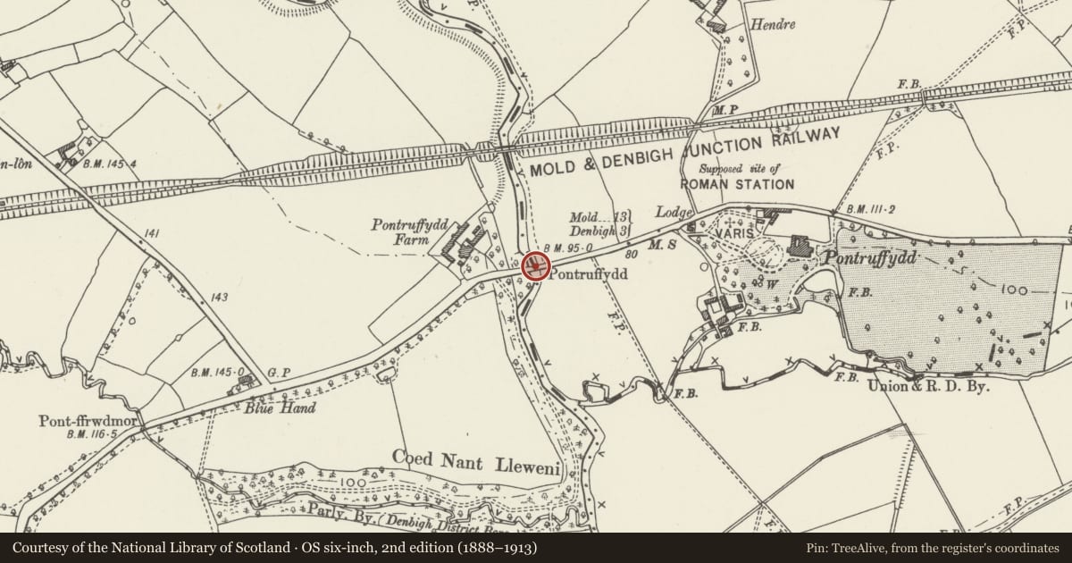 Ordnance Survey six-inch map, 2nd edition (1888–1913) covering the location of Pont Ruffydd, Bodfari, Denbighshire, with a pin at the register's coordinates