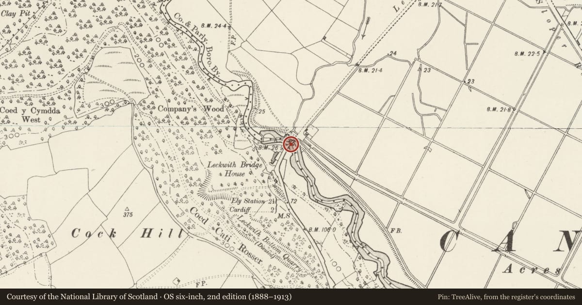 Ordnance Survey six-inch map, 2nd edition (1888–1913) covering the location of Old Leckwith Bridge (partly in Canton Community), Michaelston-le-Pit and Leckwith, Vale of Glamorgan, with a pin at the register's coordinates