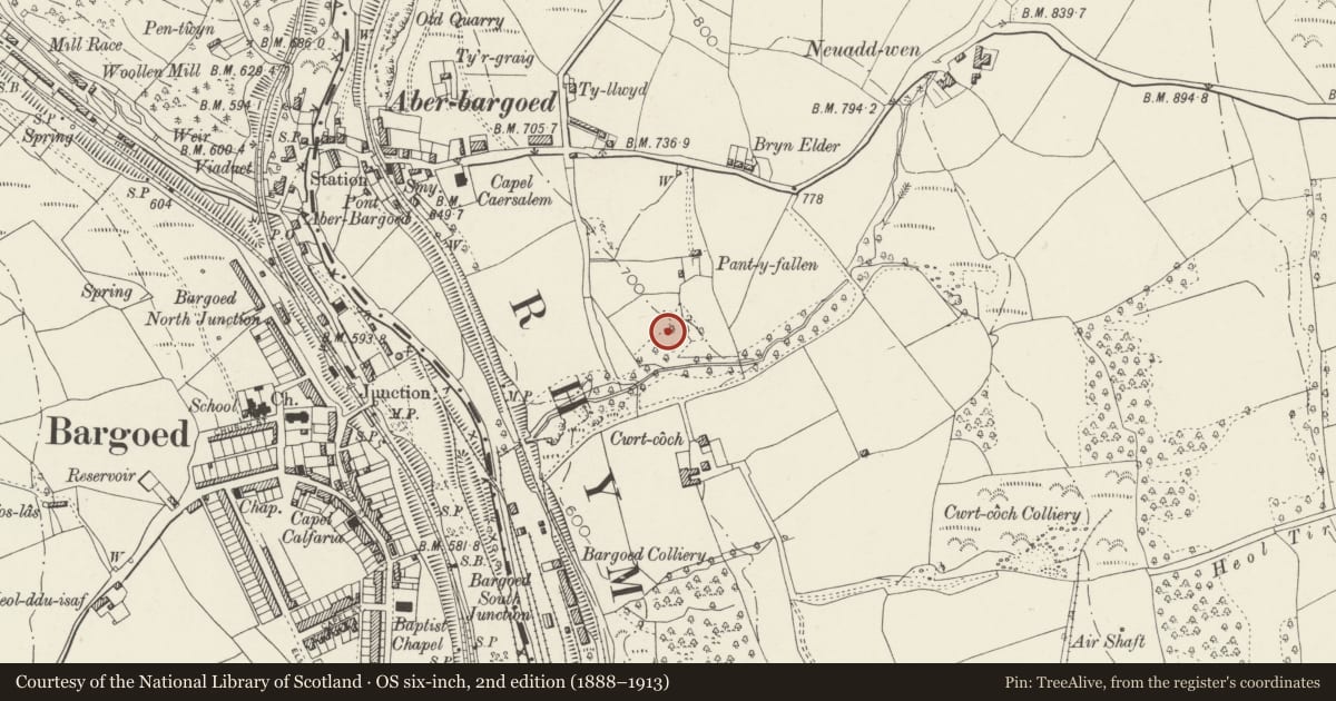 Ordnance Survey six-inch map, 2nd edition (1888–1913) covering the location of Aberbargoed war memorial gates, Caerphilly, with a pin at the register's coordinates