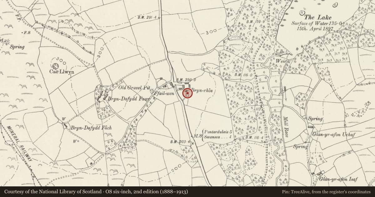 Ordnance Survey six-inch map, 2nd edition (1888–1913) covering the location of Bryn-rhos, Penllergaer, Swansea, with a pin at the register's coordinates