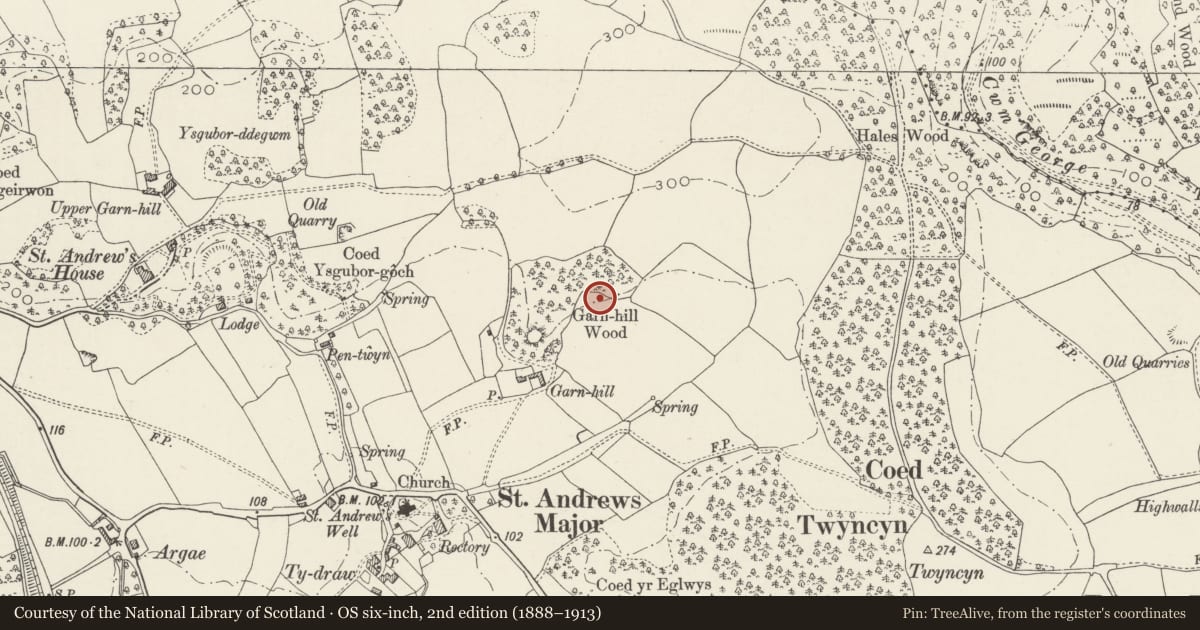 Ordnance Survey six-inch map, 2nd edition (1888–1913) covering the location of Garn-hill and attached garden terrace, Dinas Powys, Vale of Glamorgan, with a pin at the register's coordinates