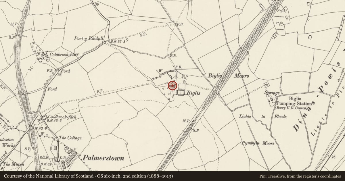 Ordnance Survey six-inch map, 2nd edition (1888–1913) covering the location of Biglis Farmhouse, Dinas Powys, Vale of Glamorgan, with a pin at the register's coordinates