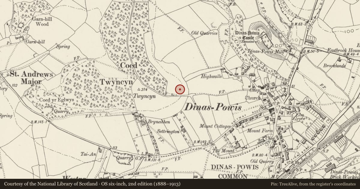 Ordnance Survey six-inch map, 2nd edition (1888–1913) covering the location of Lon Twyn, Dinas Powys, Vale of Glamorgan, with a pin at the register's coordinates