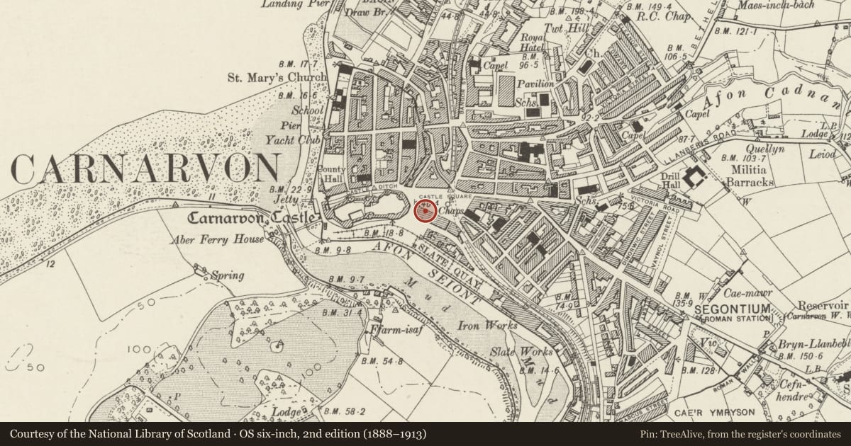 Ordnance Survey six-inch map, 2nd edition (1888–1913) covering the location of Maes Glas, including railings & gate, Caernarfon, Gwynedd, with a pin at the register's coordinates