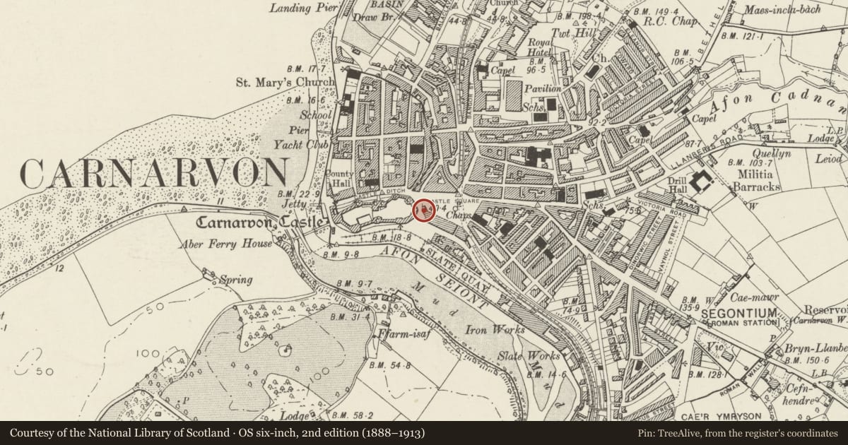 Ordnance Survey six-inch map, 2nd edition (1888–1913) covering the location of Revetment to terrace on W side of Castle Square, Caernarfon, Gwynedd, with a pin at the register's coordinates