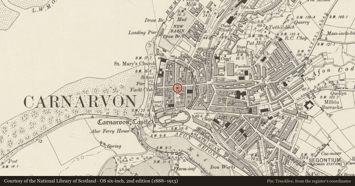 Ordnance Survey six-inch map, 2nd edition (1888–1913) covering the location of Ty Glyndwr, Caernarfon, Gwynedd, with a pin at the register's coordinates