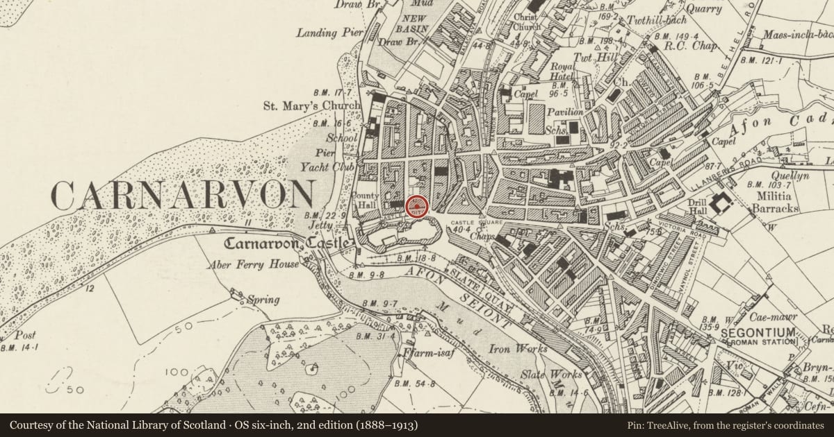 Ordnance Survey six-inch map, 2nd edition (1888–1913) covering the location of 8 Castle Ditch, Caernarfon, Gwynedd, with a pin at the register's coordinates