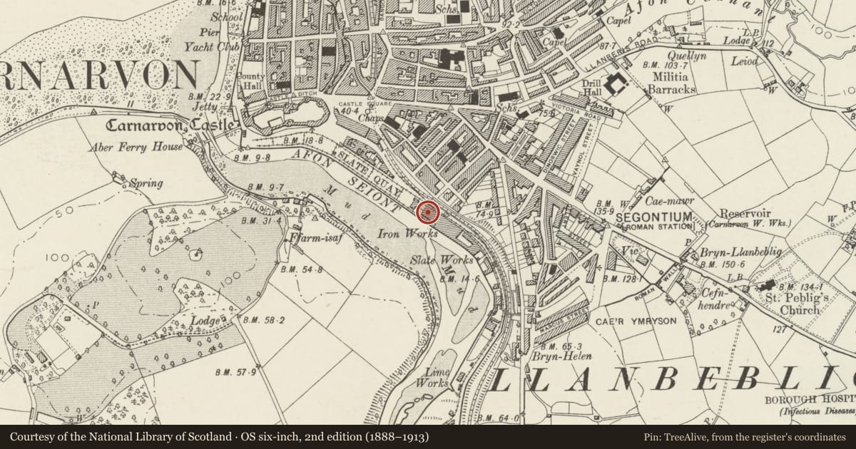 Ordnance Survey six-inch map, 2nd edition (1888–1913) covering the location of Office and showroom of former Union Ironworks, Caernarfon, Gwynedd, with a pin at the register's coordinates