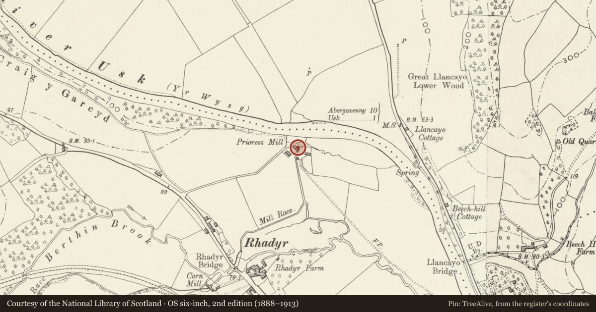 Ordnance Survey six-inch map, 2nd edition (1888–1913) covering the location of Prioress Mill and Mill Cottage, Llanbadoc, Monmouthshire, with a pin at the register's coordinates
