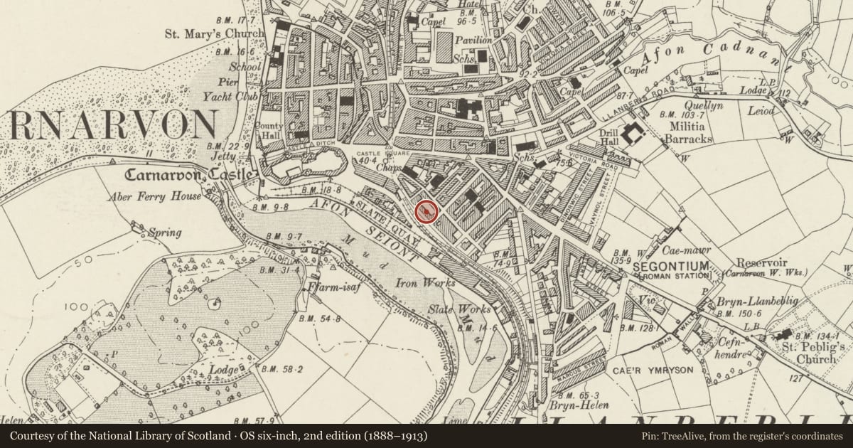 Ordnance Survey six-inch map, 2nd edition (1888–1913) covering the location of 16 Segontium Terrace, including forecourt railings, Caernarfon, Gwynedd, with a pin at the register's coordinates