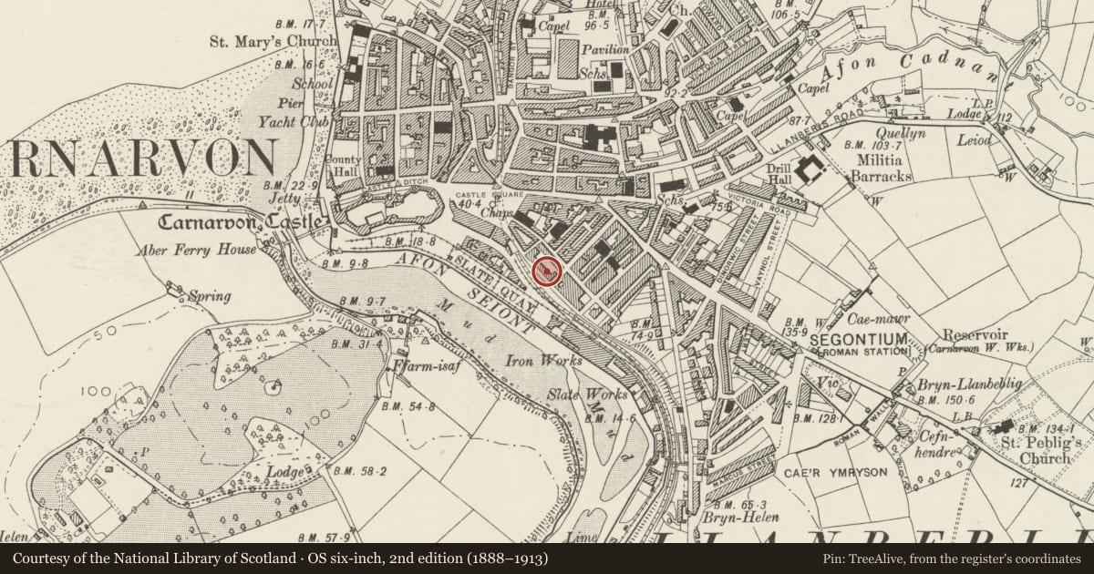 Ordnance Survey six-inch map, 2nd edition (1888–1913) covering the location of 17 Segontium Terrace, including forecourt railings, Caernarfon, Gwynedd, with a pin at the register's coordinates